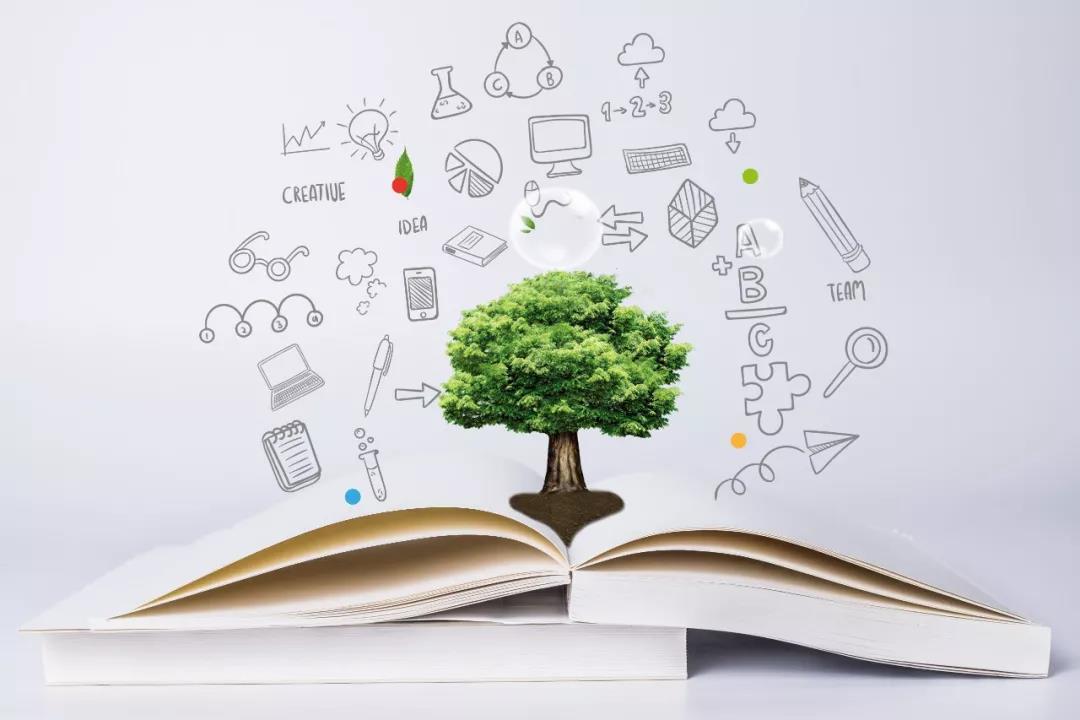 ǳ��װ������ҵ��۵�֪ʶ��Ȩ����